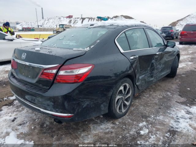 Honda Accord Ex-l Image 12