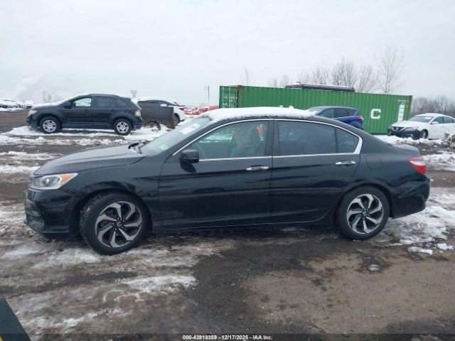 Honda Accord Ex-l Image 8