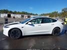 Tesla Model 3 Image 12