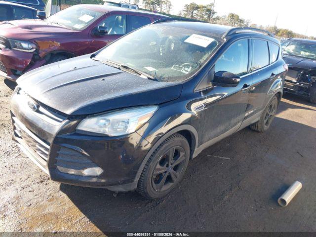 Ford Escape Se Image 5