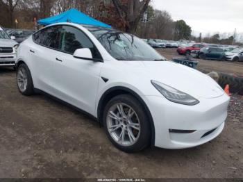  Salvage Tesla Model Y
