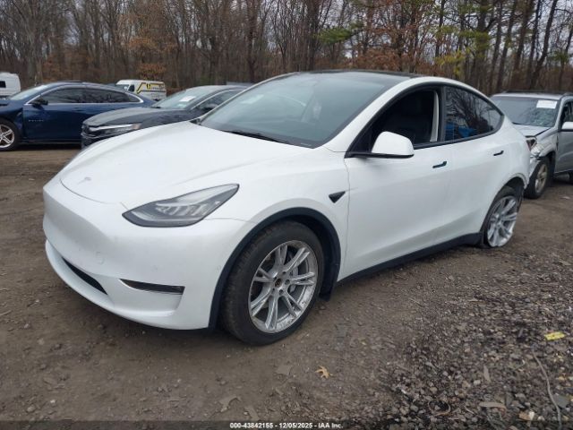 Tesla Model Y Long Range Dual Motor All-wheel Drive Image 19