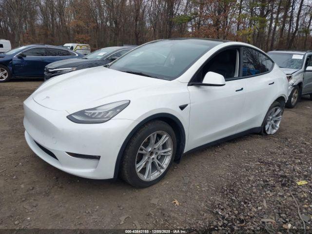 Tesla Model Y Long Range Dual Motor All-wheel Drive Image 19